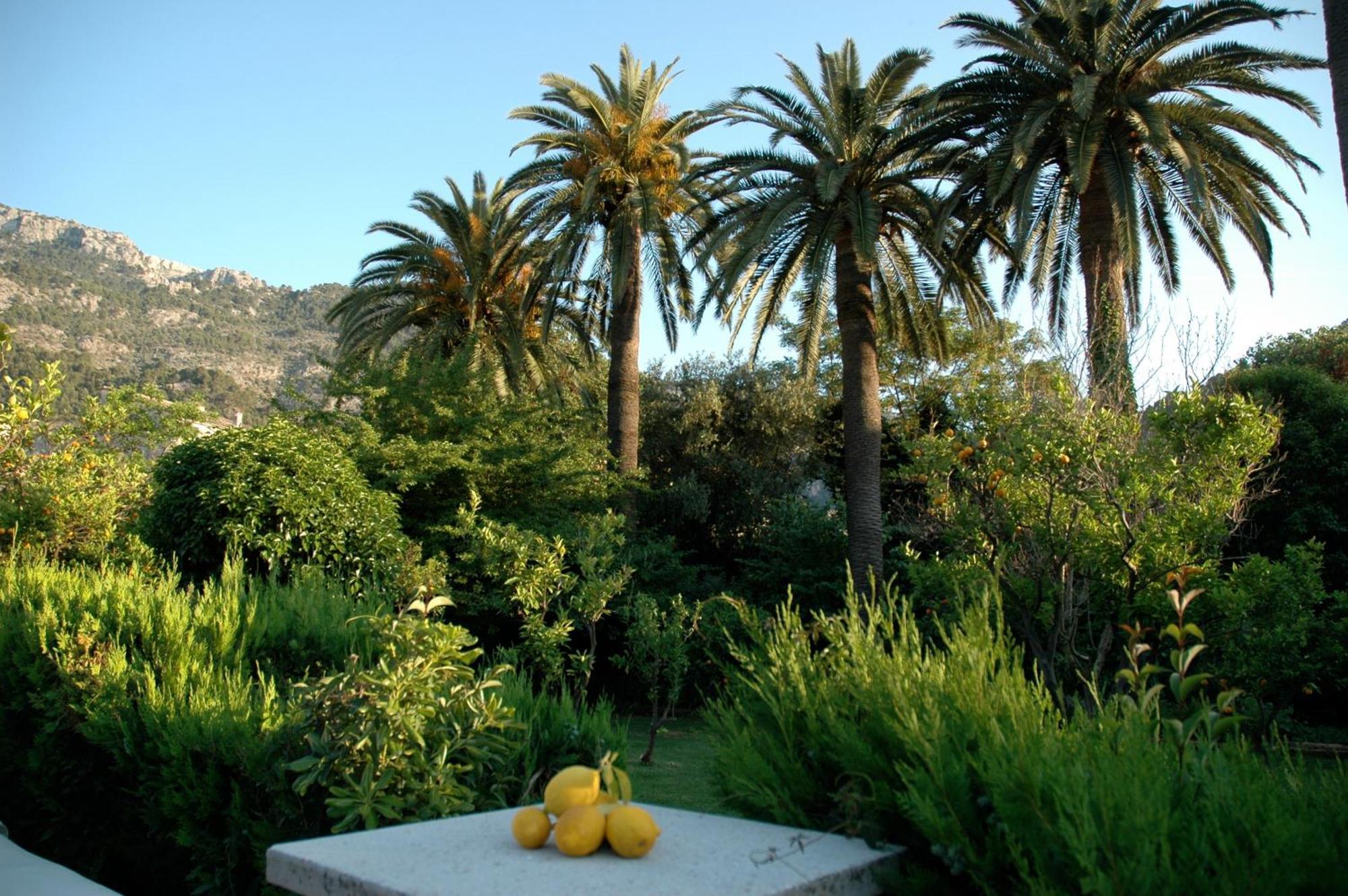 Hotel Can Roses Soller Luaran gambar
