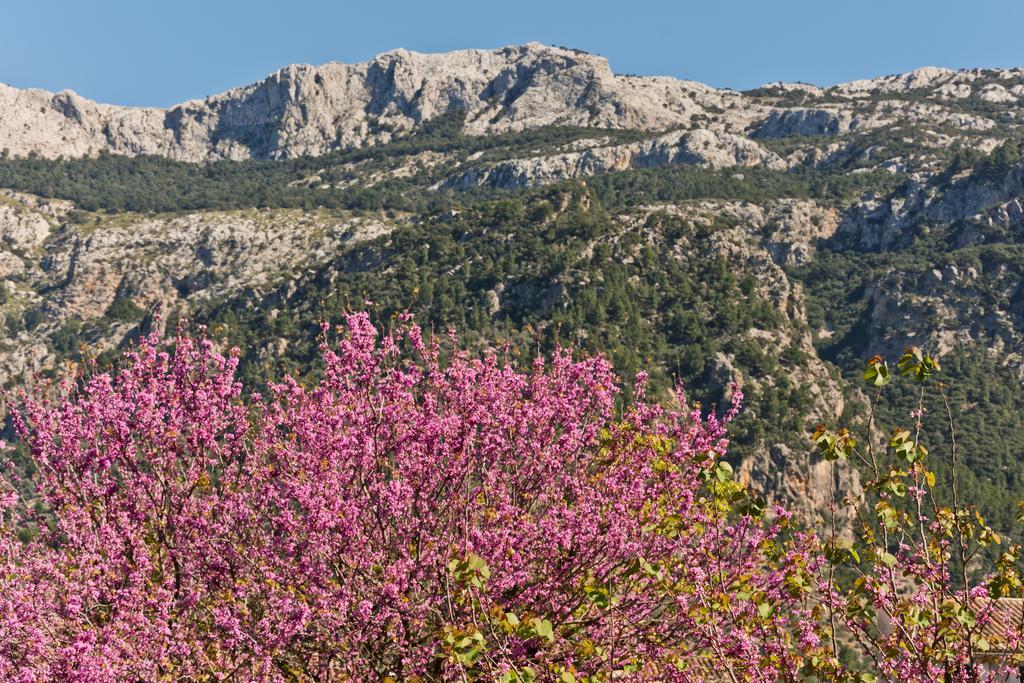 Hotel Can Roses Soller Luaran gambar